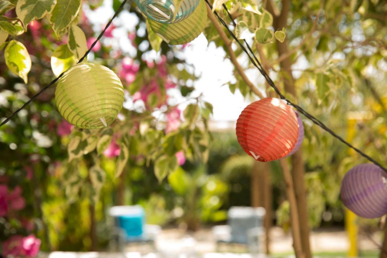 Million Flowers Protaras Luaran gambar